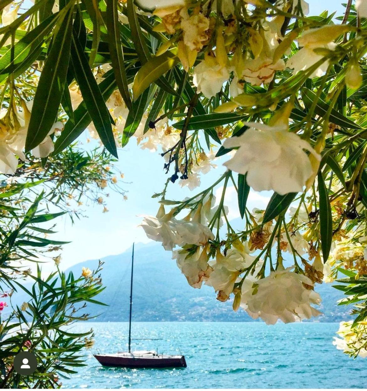 Casa Didi & Rosi - Lake Como Colico Exterior foto